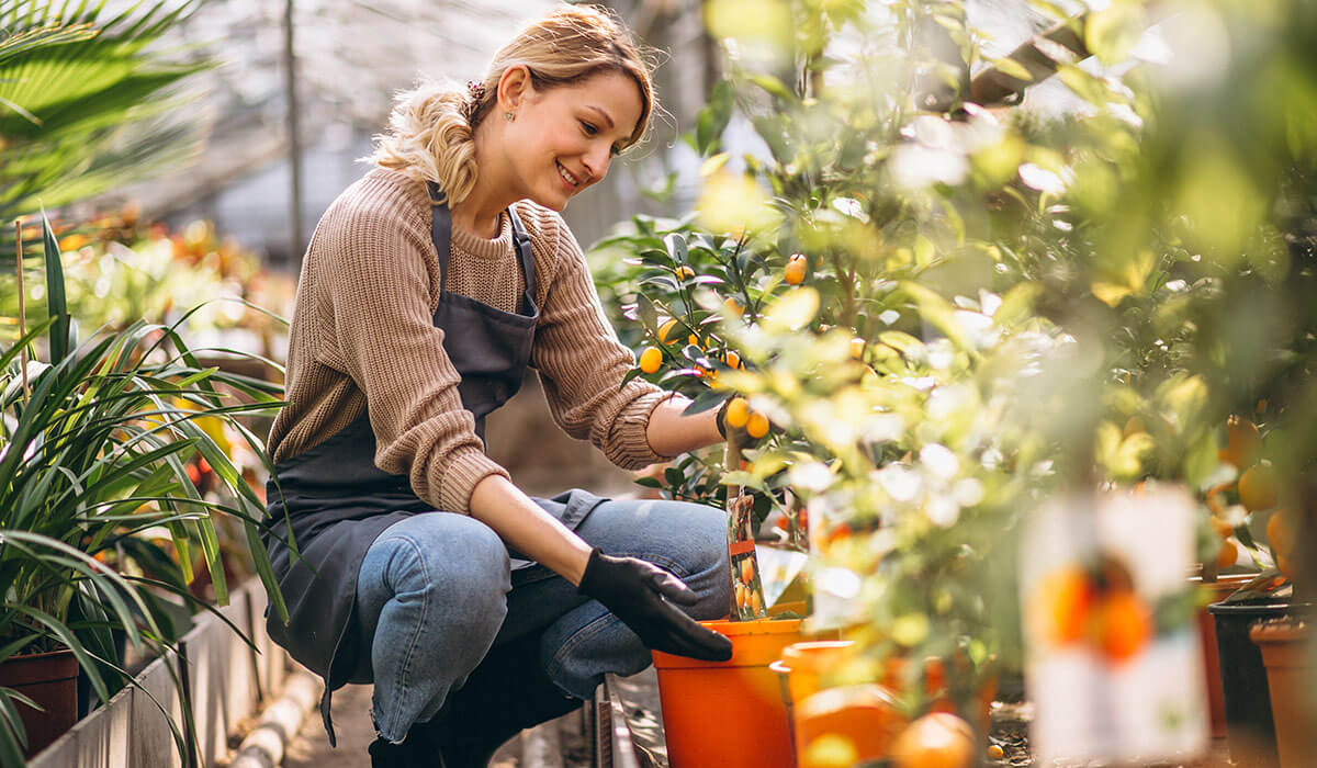 The Apple Watch Series is nearly an iPhone on your wrist